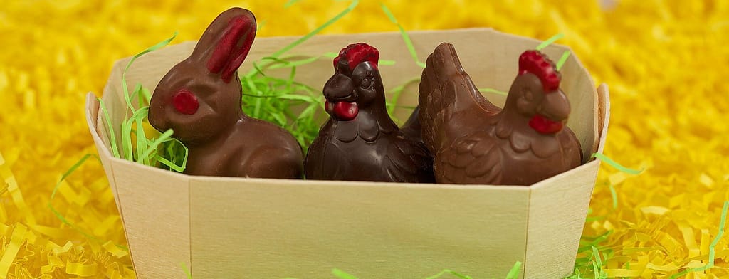 Chocolat pour Pâques, poules et lapin dans leur petit panier. 